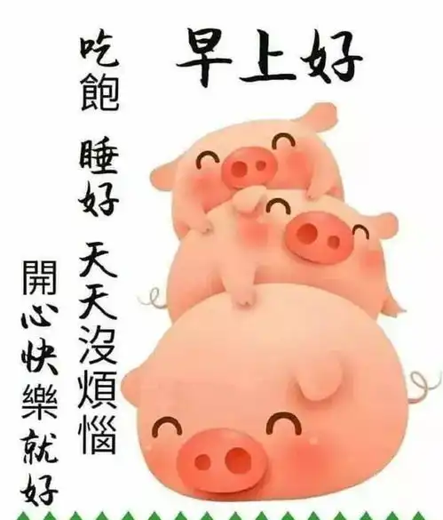 表情包早安我想