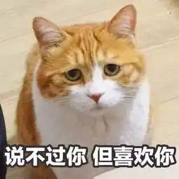  关于学位英语,弄懂这8点就够了