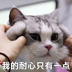  表情包
