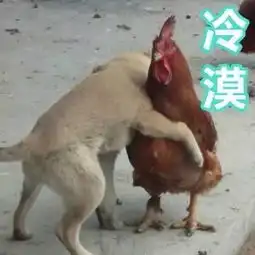  为什么你长得这么好看还单身