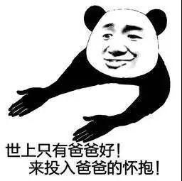  爸爸再爱我一次国家队再次出手救市