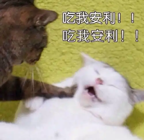  想要清平乐里面的雅致生活,简单几点就能完美复刻