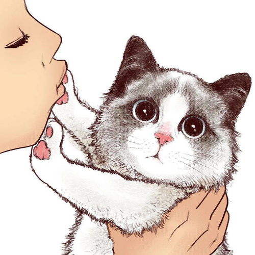  手绘头像可爱猫咪插画头像