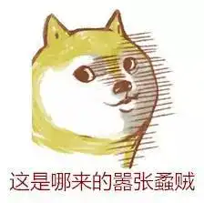 成绩100分表情包doge
