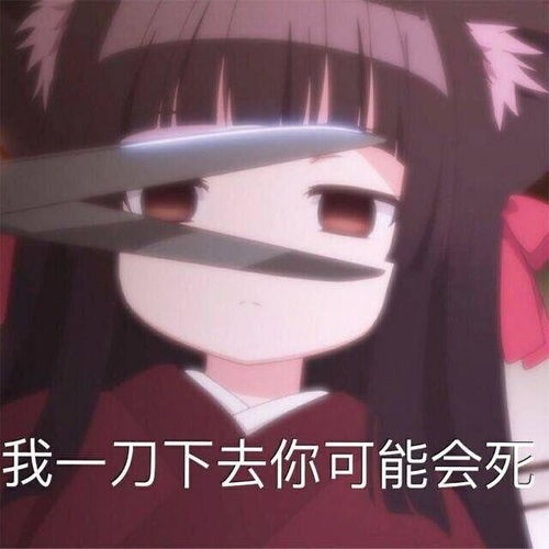  杂收藏夹