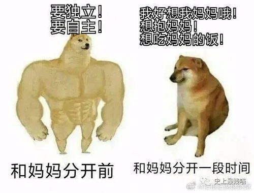  一组关于妈妈的梗图....呜呜呜真的太好哭了