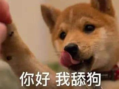  英雄联盟员工为庆祝春节,甘当中国玩家舔狗,用毛笔写中文春联