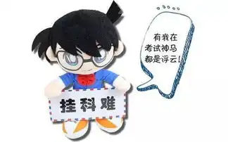  我爱学习不挂科,好室友,女朋友