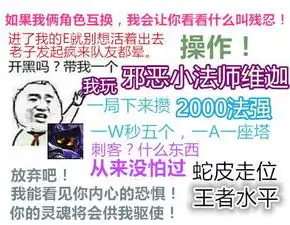  lol搞笑表情包开黑吗