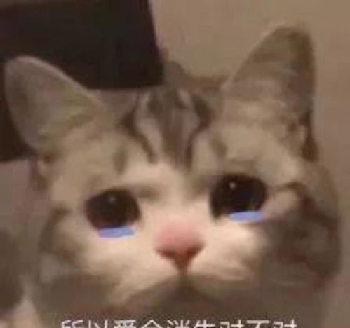  大翻车她比baby还会变脸