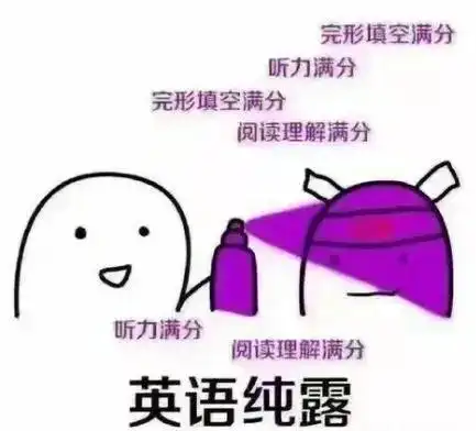  mpacc考研考哪些内容分值是多少