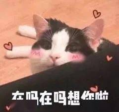  今日表情推荐,426