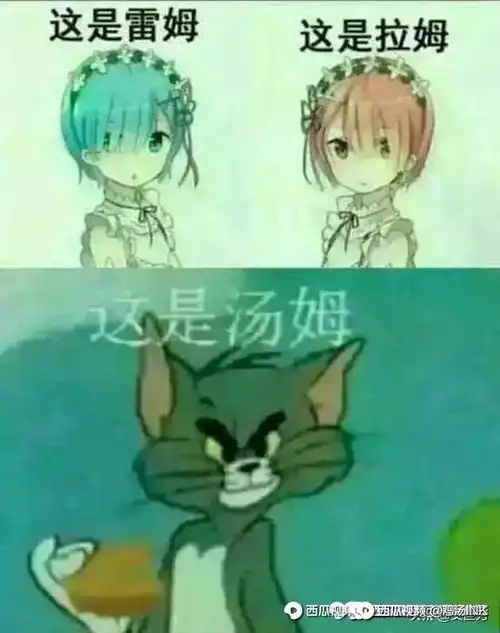  当猫和老鼠看到自己的表情包时十六