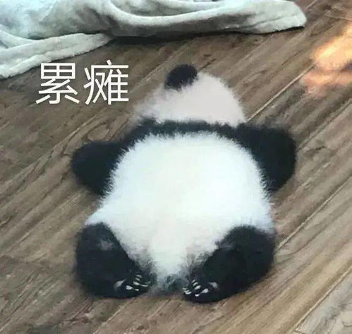  聊天的沙雕表情包又增加了,让我看看谁没存
