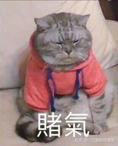  别人说多喝热水有什么表情包可以回复