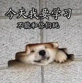  基础差的人如何备考雅思