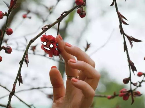  慢时光南信大的花花表情包已上线还不快戳进来保存