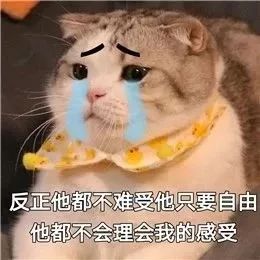  排名顶尖却偏科严重vs综排不高但专业超强,这可怎么选