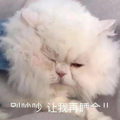  表情包咕噜噜噜噜噜噜