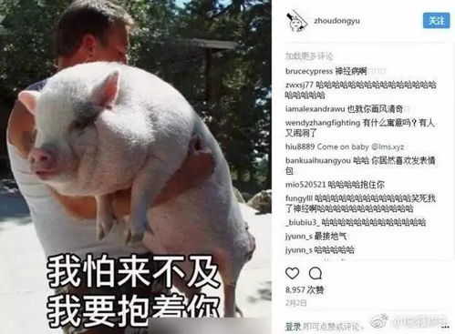  周冬雨在ins表现也是一股泥石流逗逼自黑加表情包