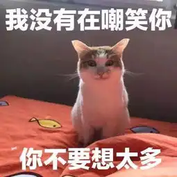  猫咪表情包来袭我没有在嘲笑你,别想太多