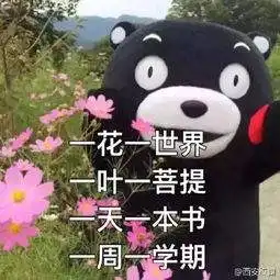  大学是怎么水的