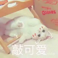  电话地址价格营业时间积玉桥密室团购武汉休闲娱乐
