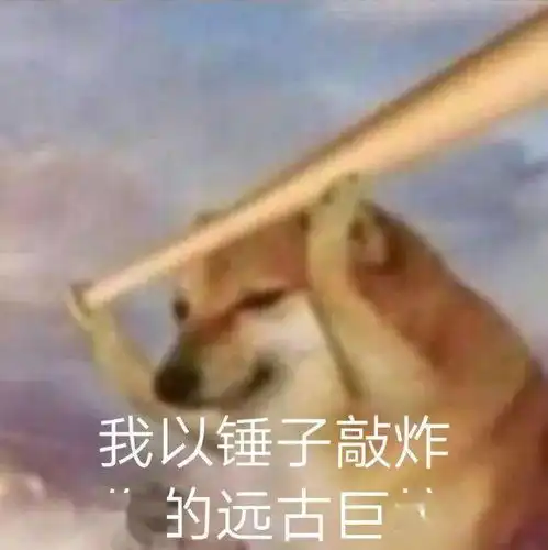  猫的粑粑竟比lv还贵爷的血压高了哈哈哈哈
