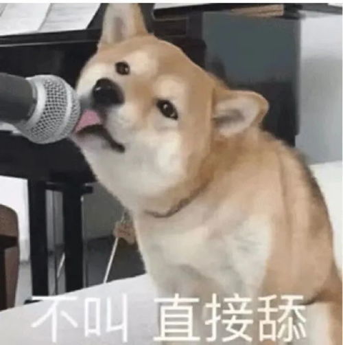  宝,你泡我还是我泡你