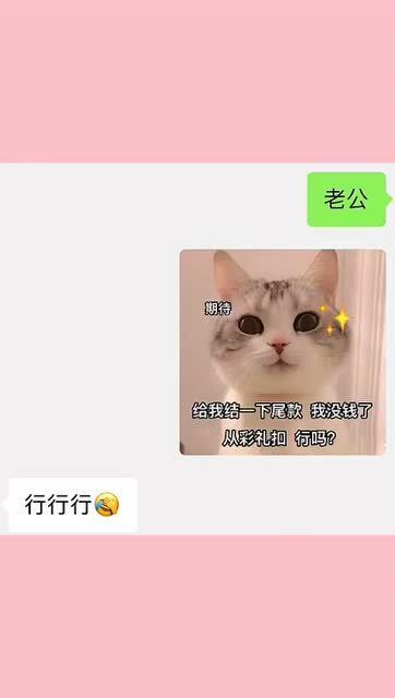  套路男友表情包,学到了双十一再也不用做什么尾款人