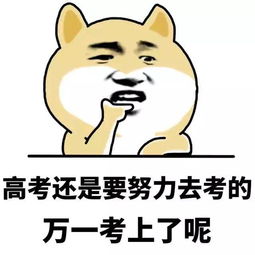  关键时刻不掉链子考生裤子拉链过不了金属检测器撕都撕不下来