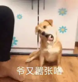 每日壹乐 每日壹乐