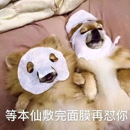  90后老了蹦迪带护膝,啤酒加枸杞...养生起来,父母都怕