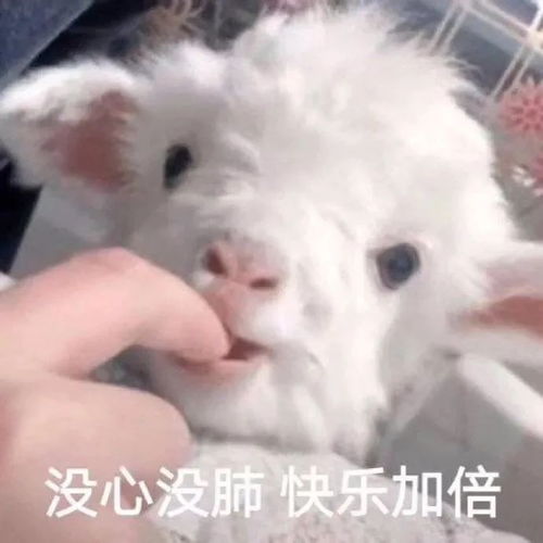  二进制广播剧二进制