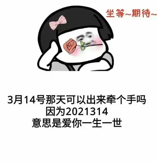  2021314表情包