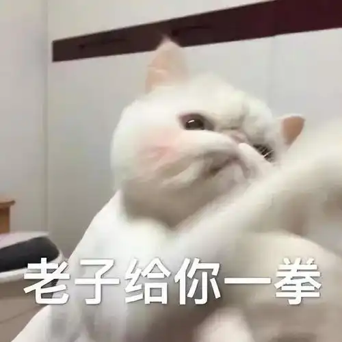  元气少女必不可少的夏日口红测评推荐让你在人群中白成一道光
