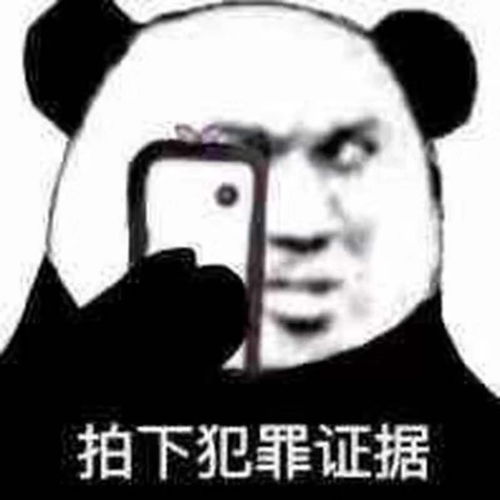  表情包哪有这么多道理,哪有这么多公平