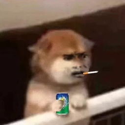  网友晒和男友的聊天截图,哈哈哈哈简直是细思极恐.