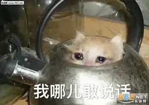  65岁老将请求出战表情包图片恋爱吗我萝莉音乔碧萝殿下表情包下载乐游网游戏下载