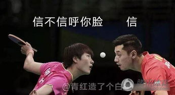  表情包里的国乒师傅领进门徒弟各领风骚