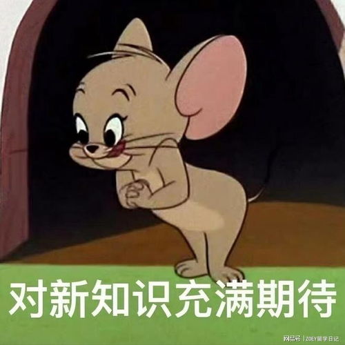  千万别被坑了留学中介最怕被你问这些