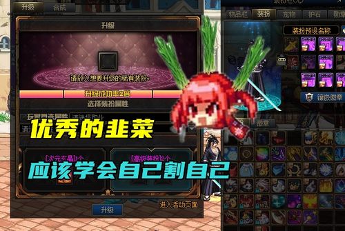 dnf今年的韭菜格外强壮国庆套未爆先火,神话成万众期待