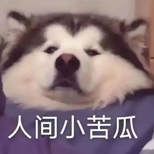  被男绿茶身材羞辱怎么回击