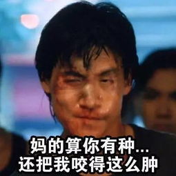  更多最新最热表情就在搜狗表情搜索