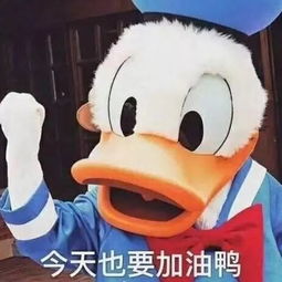  银川人注意今日起,这些新规将影响你我的生活