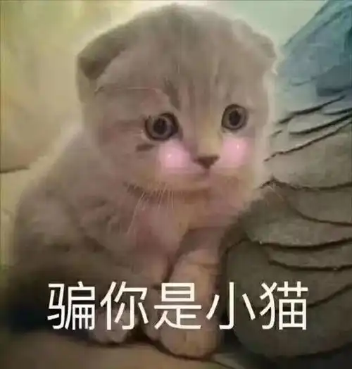 开年大戏上班,了解一下