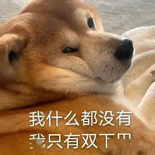  采访了两百个闽院学生,他们竟然都...