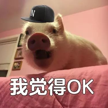  忠诚杯足球裁判招募我觉得ok