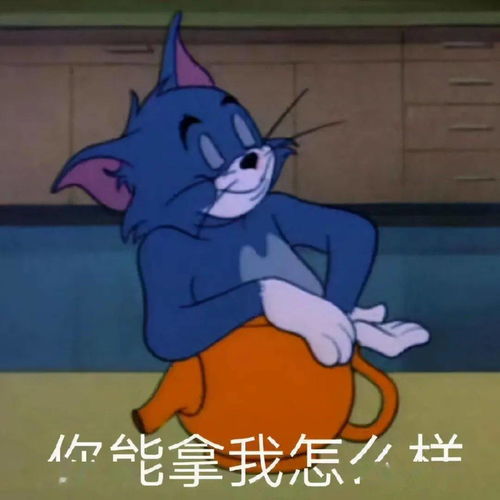  表情包动图值得收藏的表情包