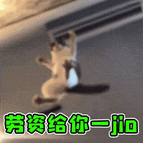  动态表情包